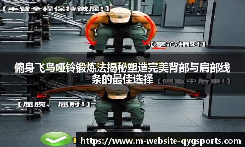 俯身飞鸟哑铃锻炼法揭秘塑造完美背部与肩部线条的最佳选择